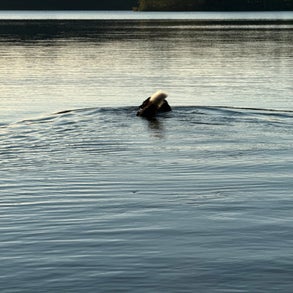 img_2494-standard-sjwagq.jpg