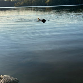 img_2502-standard-l2ae76.jpg