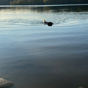img_2506-standard-s5gl60.jpg