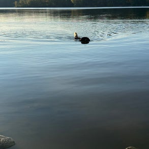 img_2507-standard-glt7ik.jpg