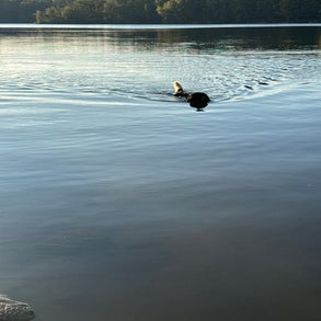 img_2509-standard-6gexg0.jpg