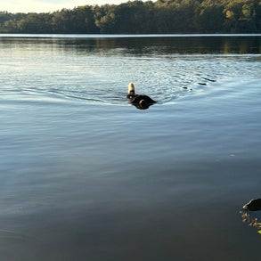 img_2510-standard-og2jbq.jpg