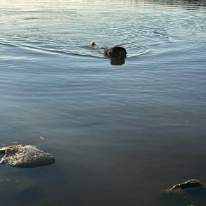 img_2540-standard-58q33p.jpg