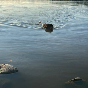 img_2542-standard-v78jld.jpg