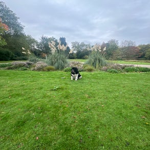 img_2862-standard-vxqpoh.jpg