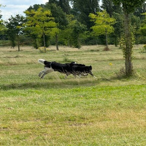 img_5696-standard-bqu1jy.jpg