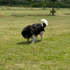 img_5704-standard-5wtd4c.jpg