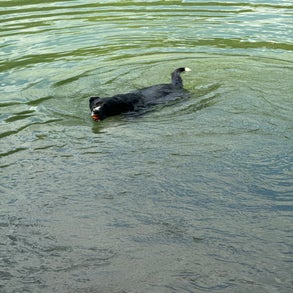 img_6121-standard-t7j6jq.jpg