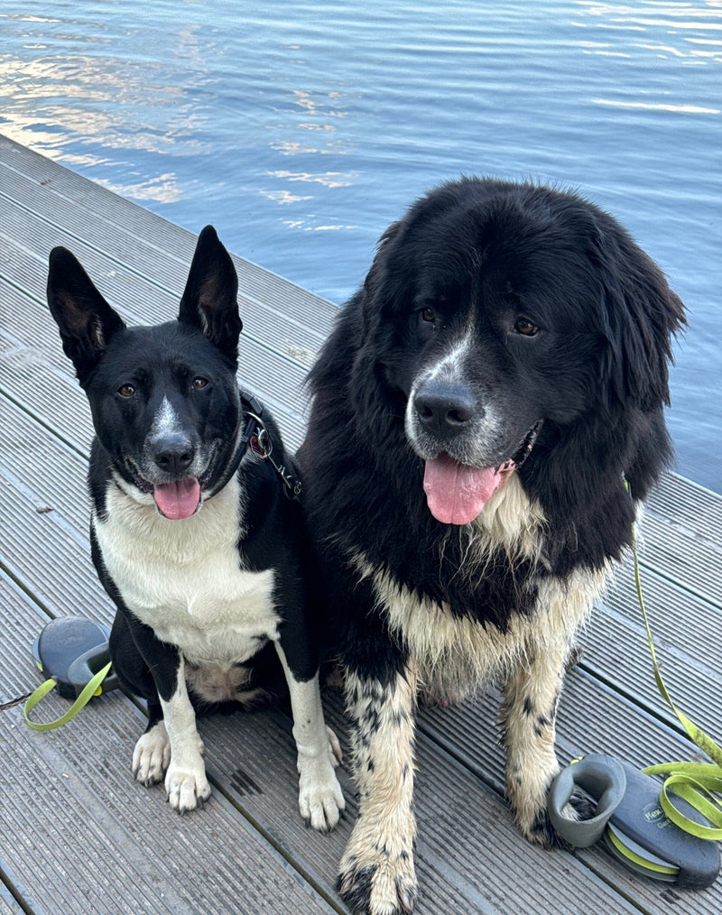 Bobby Falke & Molly Falke