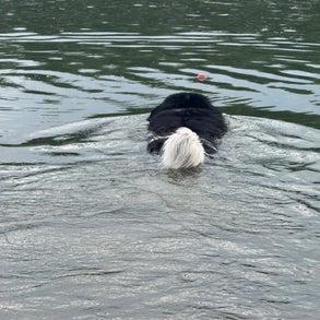 img_6612-standard-c2195b.jpg