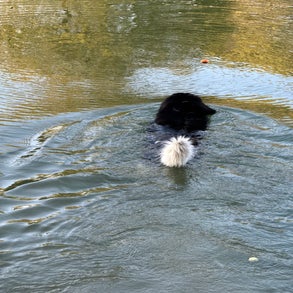 img_8444-standard-df317c.jpg