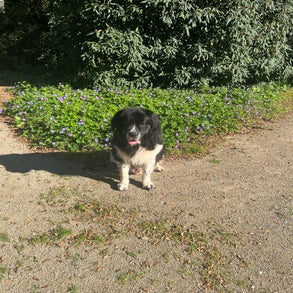 img_2581-3.jpeg