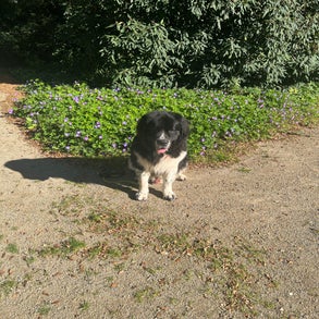 img_2585-3.jpeg