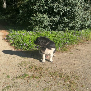 img_2580-3.jpeg