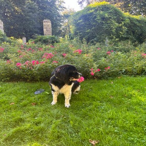 img_2660-4.jpeg
