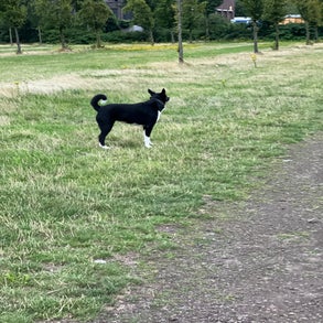 img_7801-1.jpeg