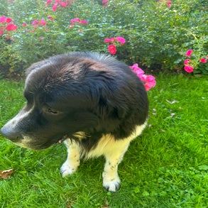 img_2685-3.jpeg