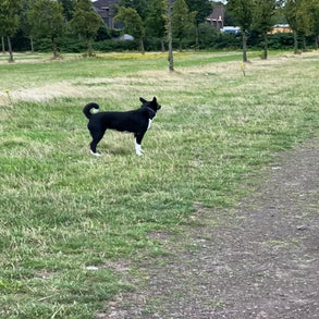 img_7800-1.jpeg