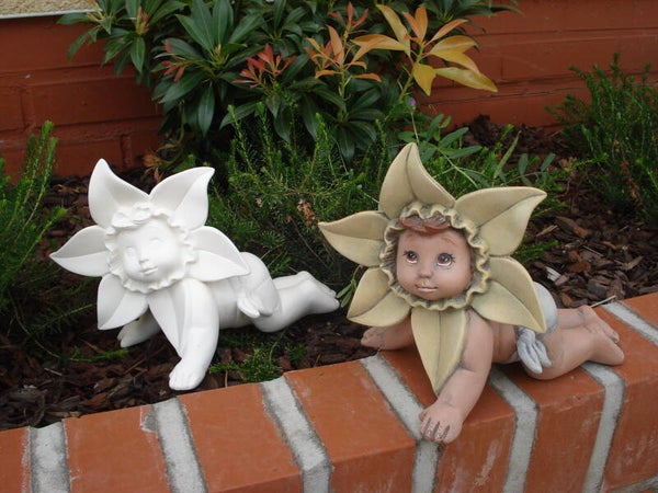 Kruipende daffodil baby