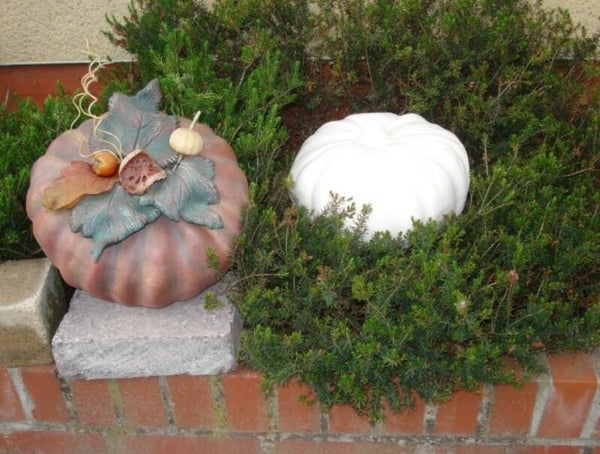 Grote pompoen met bladeren