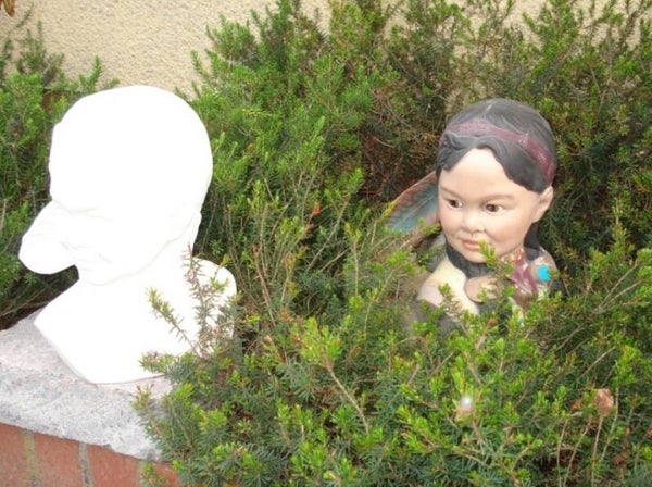 Indiaan vrouw buste
