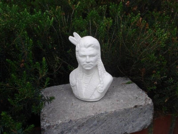 indiaan kop met 2 pluimen