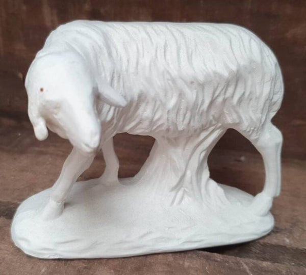 schaap
