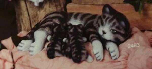 Liggende poes met 3 kittens klein