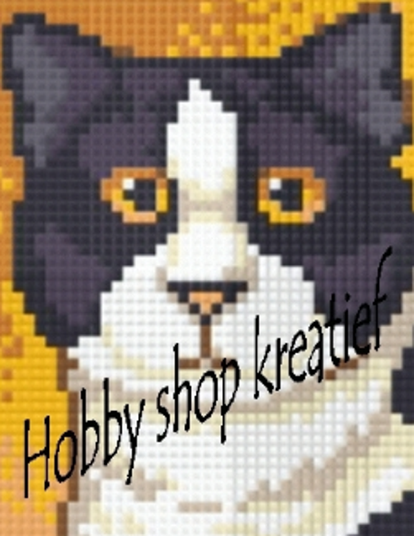 SS 0008 Zwart-wit poes