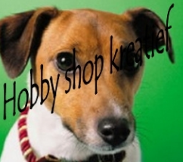 SS 0058 Jack russel2