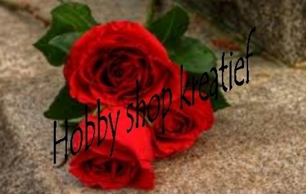 SS 0215 rode roosjes