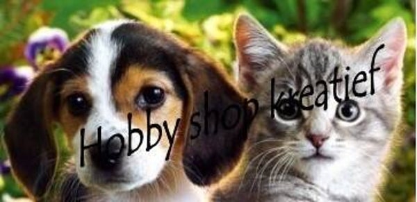 SS 0197 Jack en poes