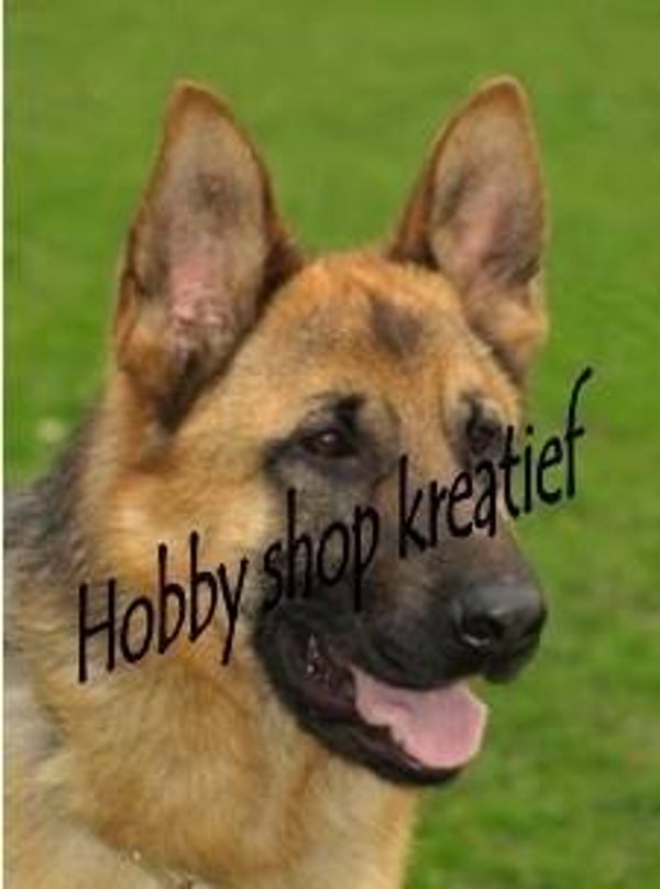 SS 0189 Herder duits