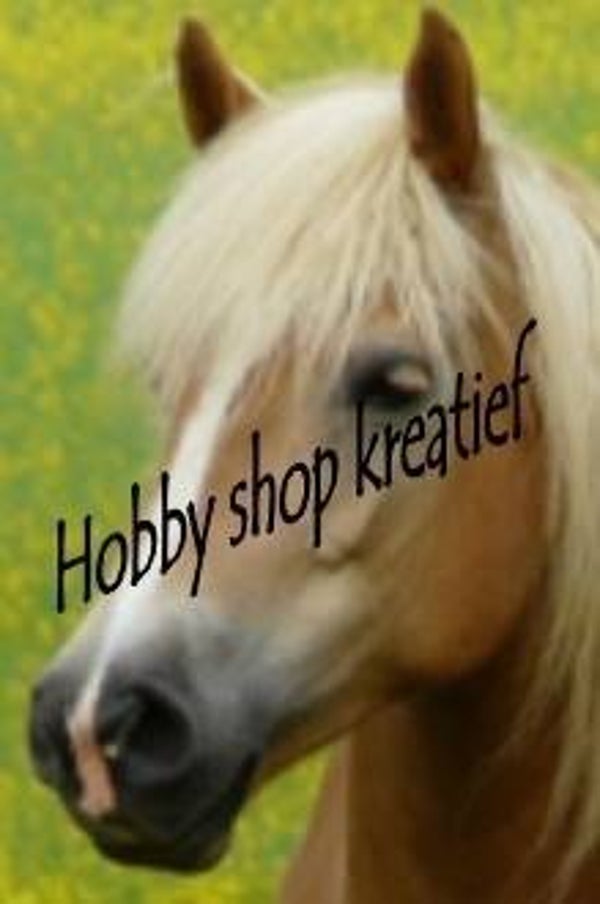 SS 0187 Bruin paard2