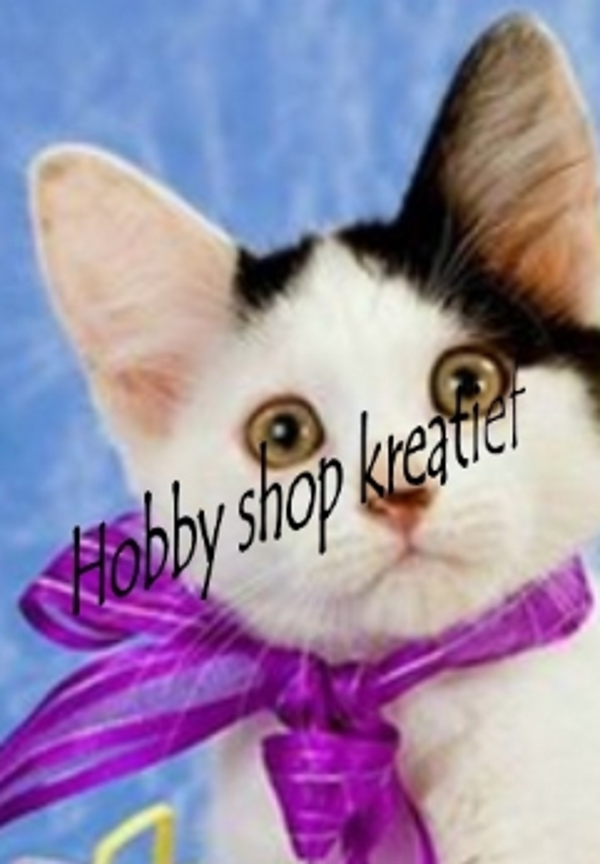 SS 0183 Poes met strik