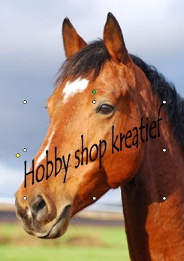 SS 0181 Paardenhoofd4