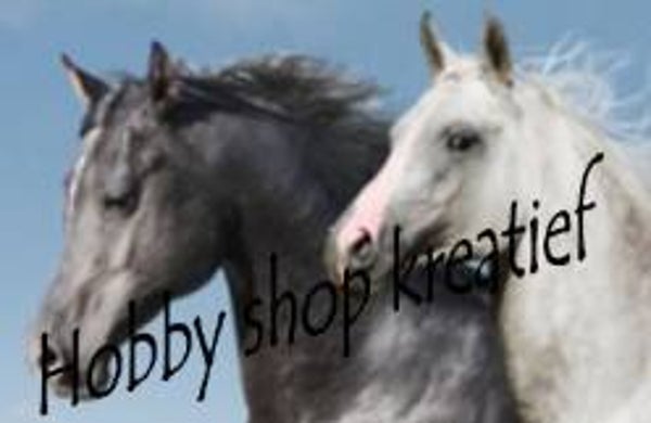 SS 0165 Zwart - wit paard