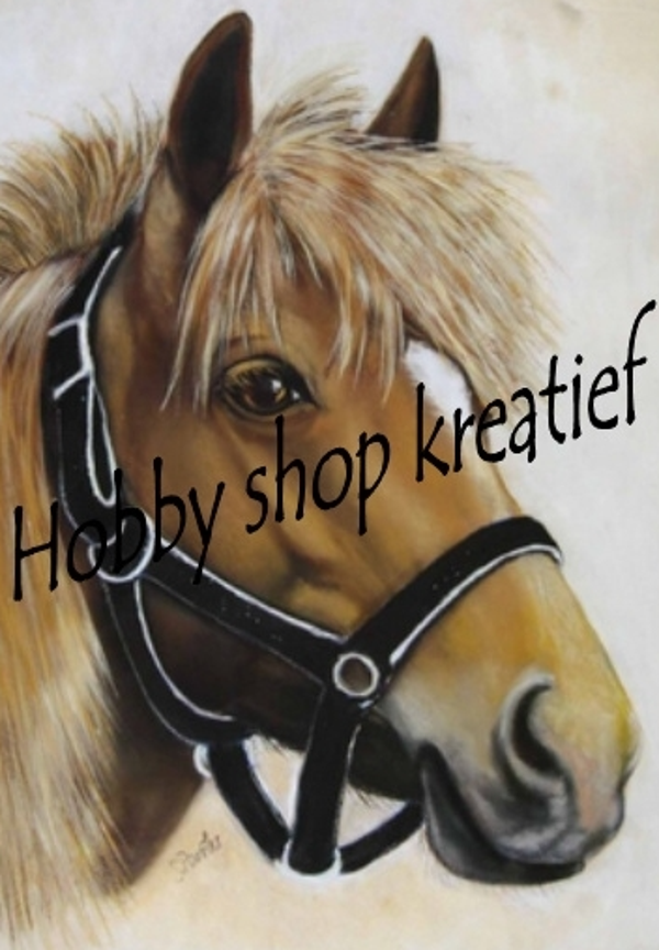 SS 0151 Paardje met halster