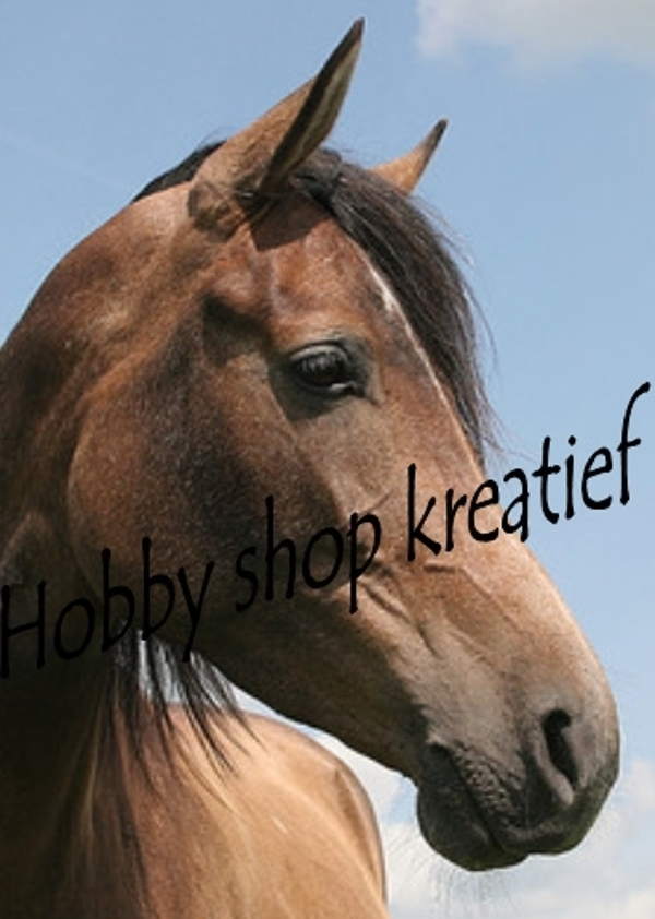 SS 0141 Paardenhoofd