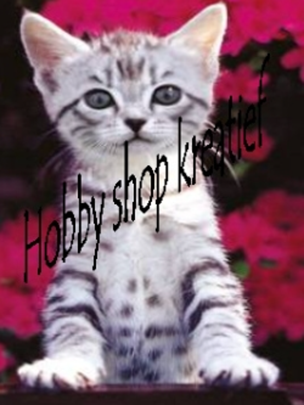 SS 0100 Grijs poesje