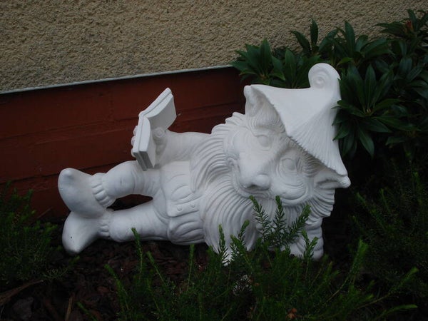 Grote kabouter met boek