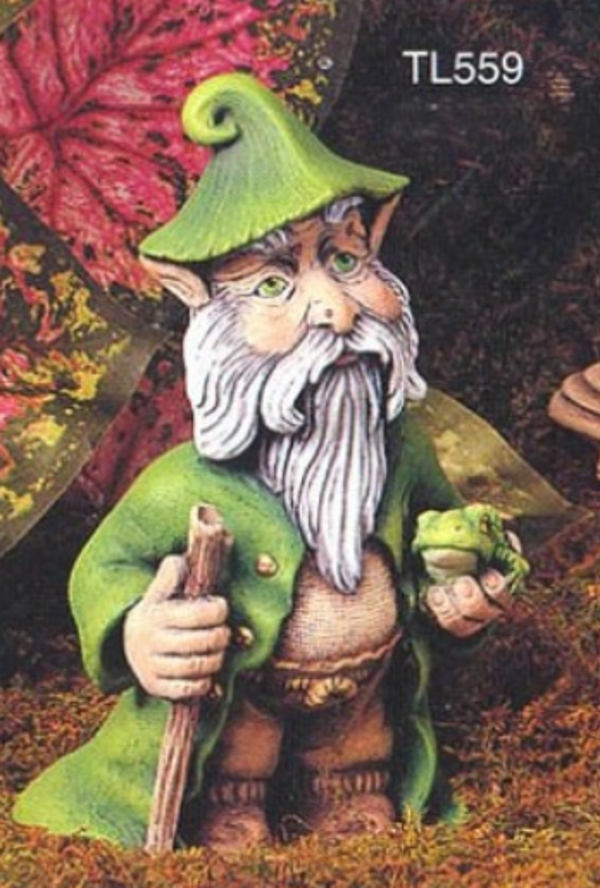 kabouter klein met staf en kikker