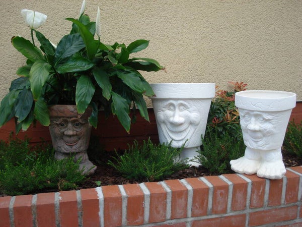 Groot bloempotgezicht