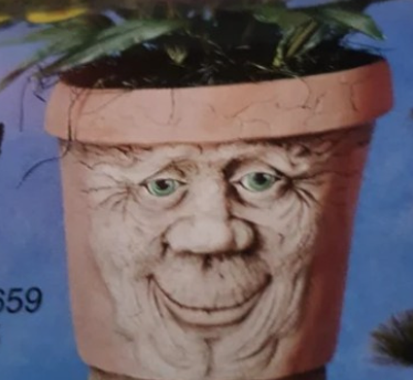 Klein bloempotgezicht (zonder voeten)