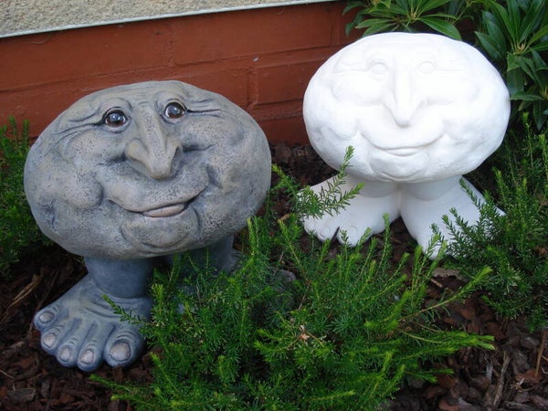 Moe steen met voeten