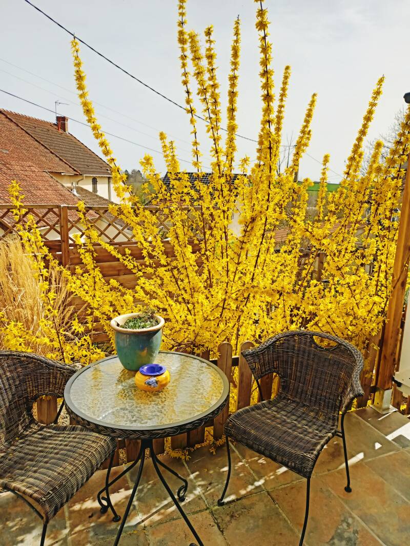Terras Gite