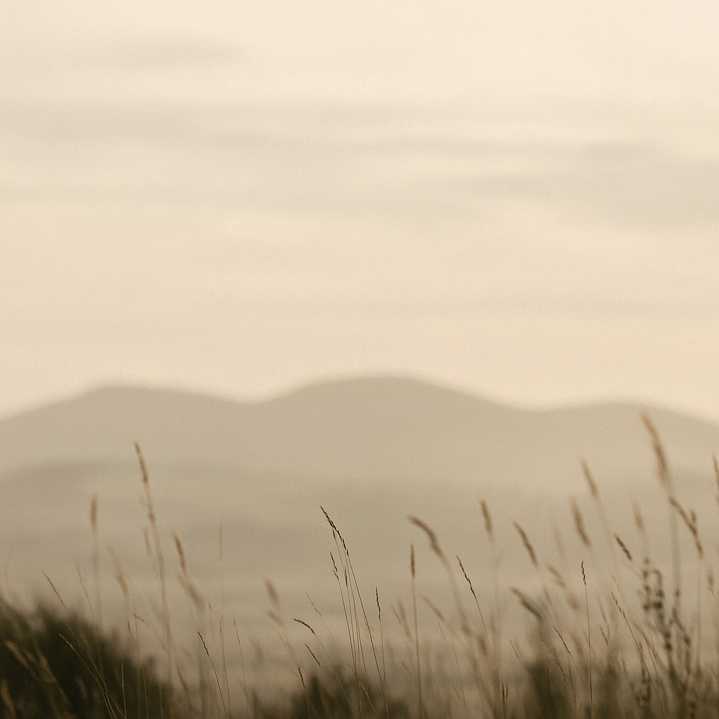 Coachingsessie (± 75 min)