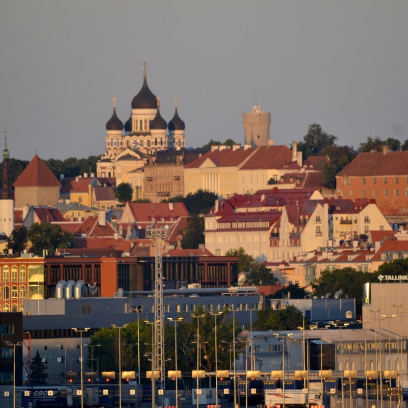 dsc_8692jpg.jpg