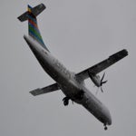 DSC_5875.jpg