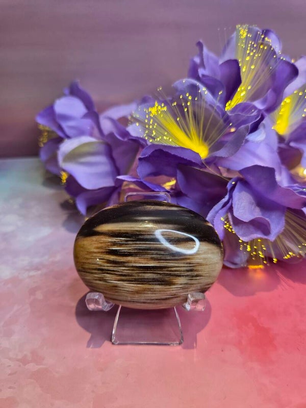 Petrified wood - versteend hout palmsteen